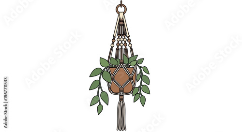 Hanging plant in macrame pot holder. Vector Illustrations. EPS Editable