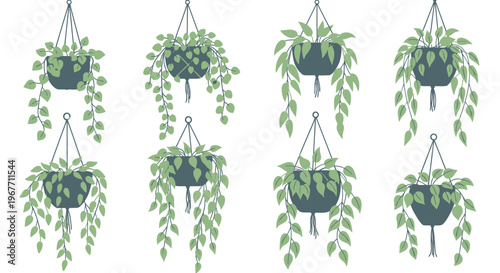 Hanging plants in green pots. Vector Illustrations. EPS Editable