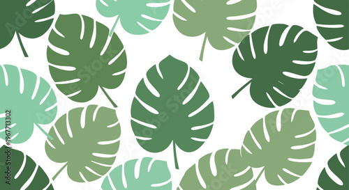 Monstera leaves in various green shades. Vector Illustrations. EPS Editable