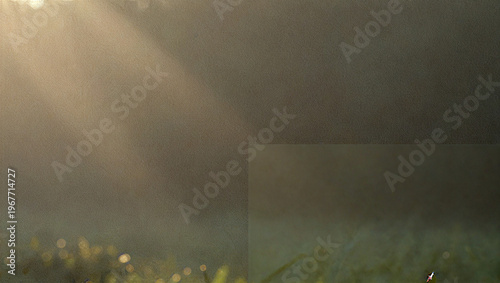 Abstract Cinematic Forest Background with Golden Sunlight Bokeh Rays
