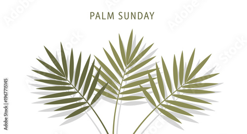 Palm Sunday Leaves Green Branches. Vector Illustrations. EPS Editable