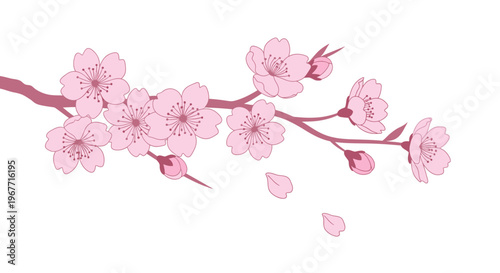 Pink Cherry Blossom Flower Branch Bloom. Vector Illustrations. EPS Editable