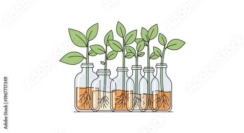 Small green plants in glass bottles. Vector Illustrations. EPS Editable