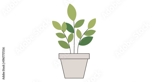 Small Potted Plant with Green Leaves. Vector Illustrations. EPS Editable