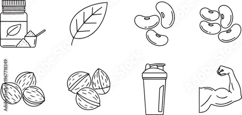 Vegan protein powder sources plant based nutrition for muscle growth and fitness