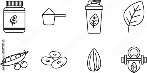 Vegan protein powder ingredients plant based nutrition for health fitness