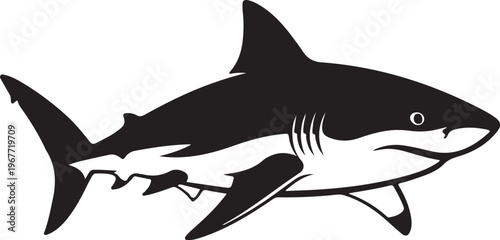 Black and white shark illustration swimming in ocean waters