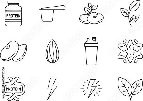 Vegan protein powder ingredients a healthy plant based nutrition illustration