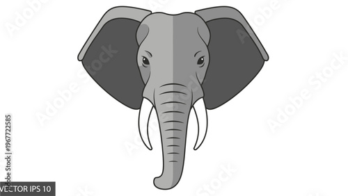 Gray vector illustration of an elephant head with large ears and tusks on a white background.