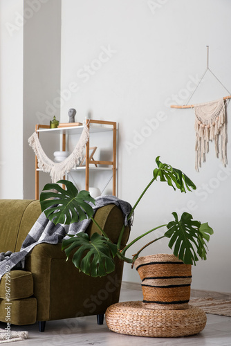 Sofa and Monstera houseplan...