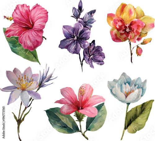 set of watercolor flowers