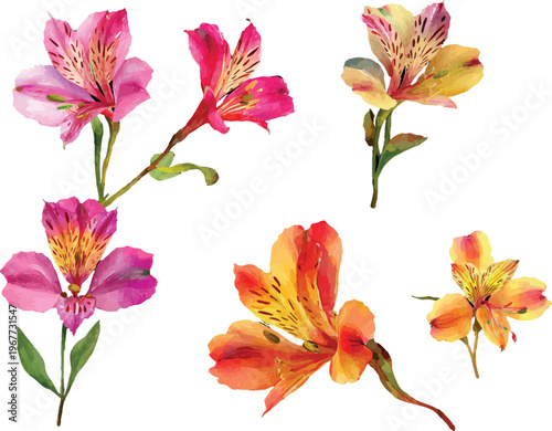 collection of flowers