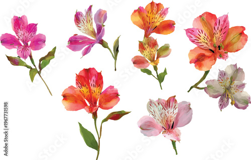 bouquet of pink roses