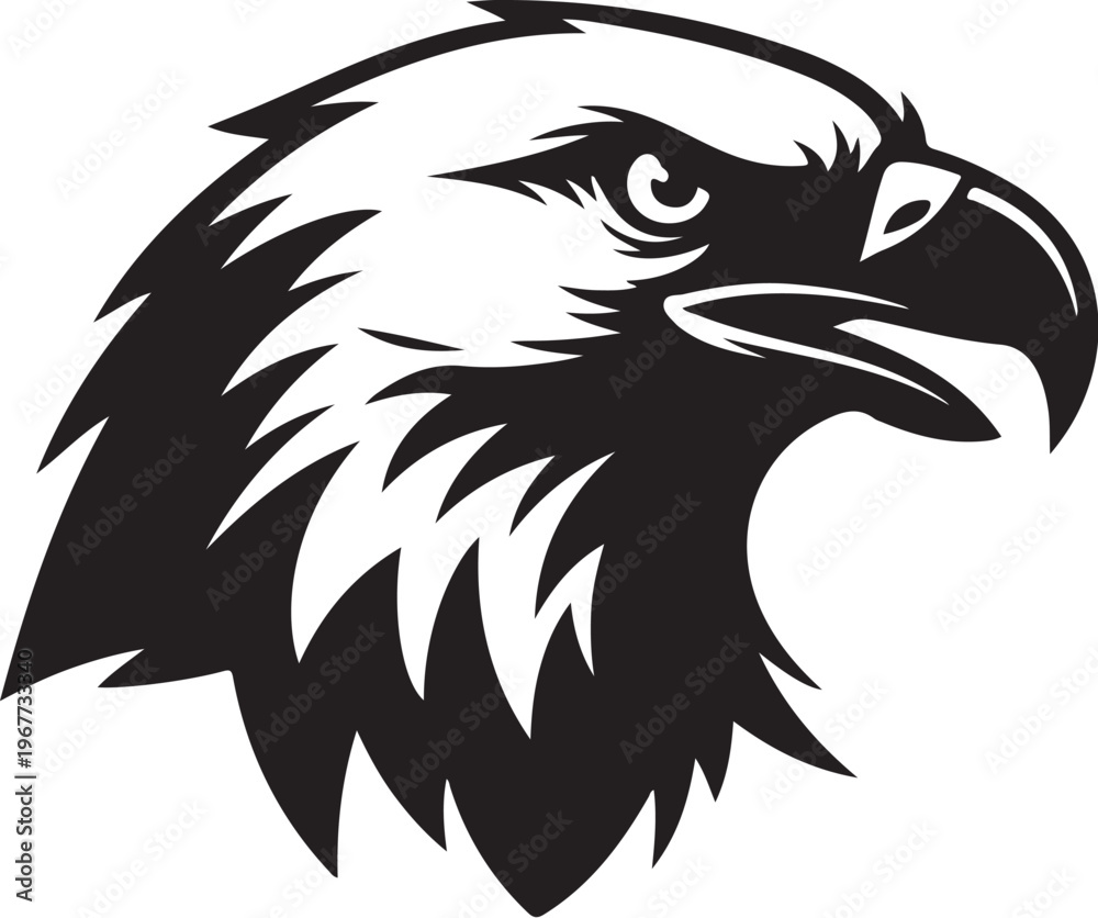 Fototapeta premium Black and White Eagle Head Illustration with Sharp Details