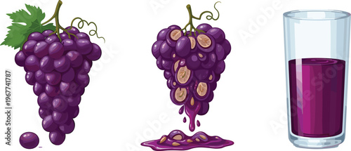 Fresh Purple Grapes, Juice Splash, and Glass of Grape Drink for Fruit, Beverage, and Healthy Lifestyle Designs