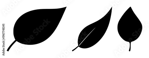 Leaf set with solid black icon on white background featuring corporate social responsibility icon, environmental, sustainability with green design and zero waste