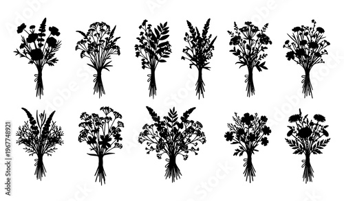 Flower bouquet silhouette set wildflowers herbs branches botanical vector illustration