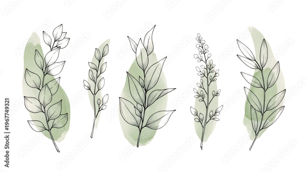 Fototapeta premium Vintage botanical foliage wall art set, hand drawn leaves with green watercolor texture