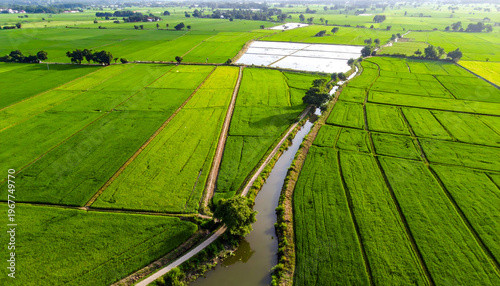 Green Tapestry of the Countryside