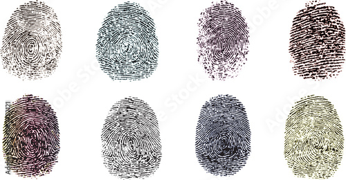 Fingerprint thumbprint set isolated colorful fingerprint set  Set of ten unique black fingerprint impressions on white background
