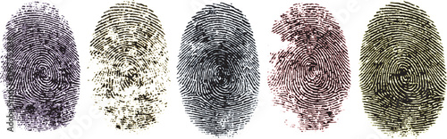 Fingerprint thumbprint set isolated colorful fingerprint set  Set of ten unique black fingerprint impressions on white background