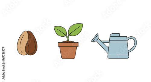Seed to Sprout: Growth Stages of a Plant with Watering Can