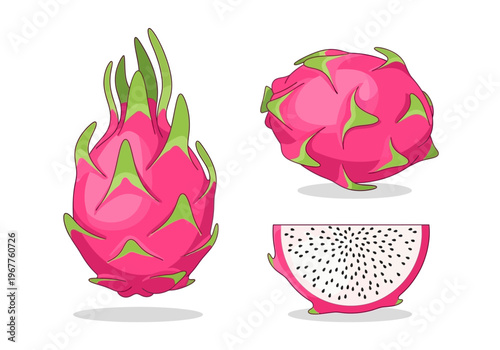 Fresh Dragon Fruit Vector Illustration with Sliced Detail on White Background