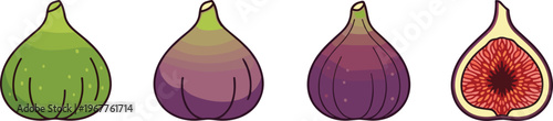 Set of 4 Vector Illustrations of Figs Showing Different Ripeness Stages, Including Whole and Sliced Versions for Food and Fruit Designs