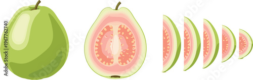 Set of 7 Vector Illustrations of Green Guavas, Whole Guava, Guava Halves, and Sliced Guava with Pink Flesh for Organic Fruit, Healthy Snack, and Tropical Designs