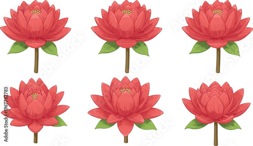 Red lotus flower blossom set with green leaves flat vector illustration isolated on white background for yoga wellness spa beauty nature design elements.