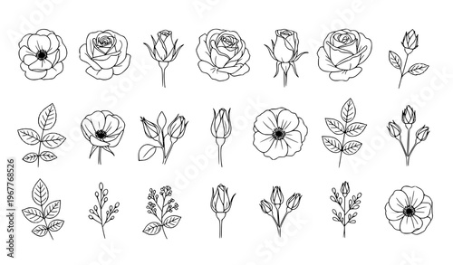 Rose buds and flowers line art set decorative botanical outline vector illustration