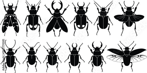 Insect vector illustration set, black beetle silhouettes, different bug poses, flying and walking insects, wildlife clipart, nature icons, entomology symbols, animal shapes