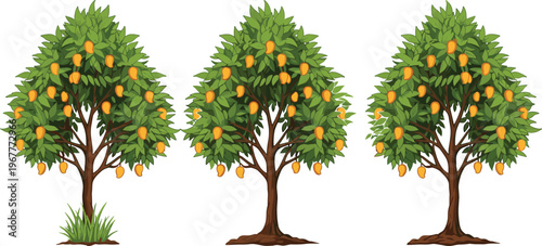 Cartoon illustration of three mango trees with ripe fruits and green foliage, agricultural farming concept, tropical fruit harvest, nature education and gardening design