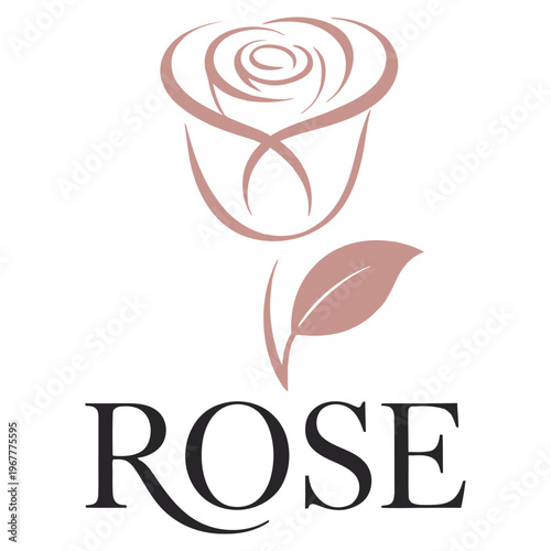 Elegant illustration of a pink rose with a simple and classic design