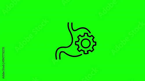 Process Workflow Line Icon Animation Settings Concept on Green Screen