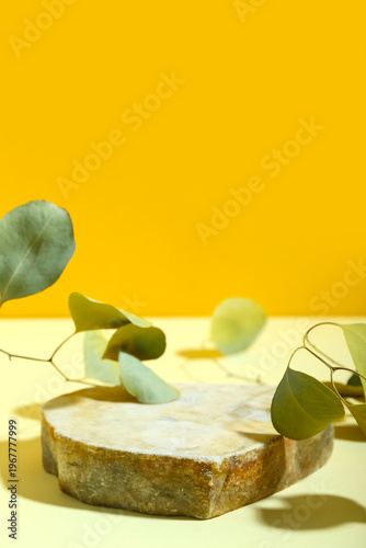 Eucalyptus with stone on ta...