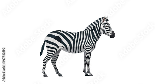 Striped Zebra Standing Isolated on White Background, Side View