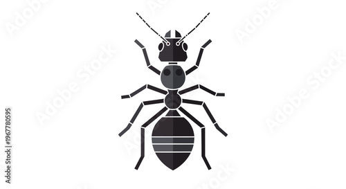 Stylized Black Ant Illustration Isolated on White Background