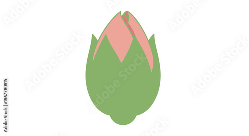 Unopened Pink Flower Bud with Green Sepals, Simple Vector Illustration