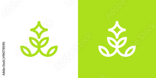 Dual meaning logo combining nature and star elements, symbolizing natural excellence, growth, inspiration, guidance, and a bright future rooted in sustainability and harmony with nature.