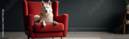Cozy Companion: A charming ...