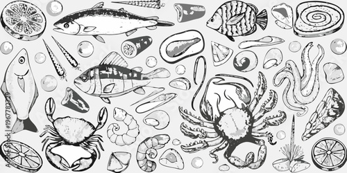 A grayscale collection of various seafood shells and citrus slices