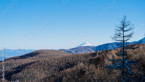 入笠山から見る富士山