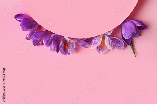 Beautiful Saffron flowers a...