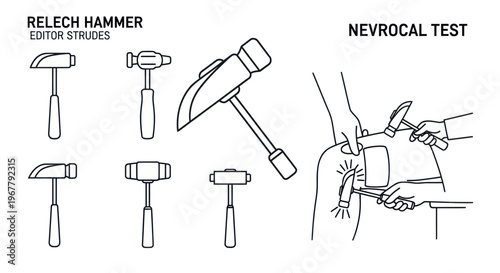 Reflex Hammers Collection and Neurological Test Illustration