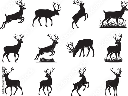 Black silhouettes of deer in various poses