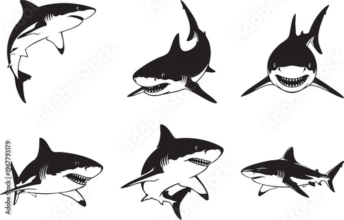 Six different shark illustrations in black and white