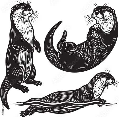 Three illustrations of otters in different poses
