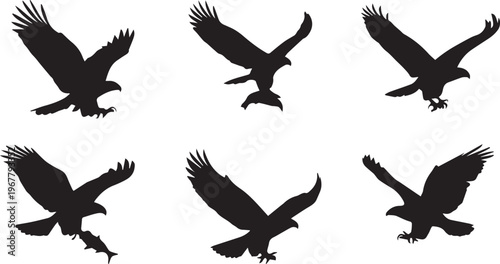 Collection of 6 black eagle silhouettes on transparent background hunting fish flying icons