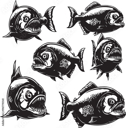 A group of fish with sharp teeth are shown in different positions